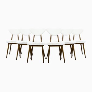 Model No. 124 Chairs by Helena & Jerzy Kurmanowicz, Poland, 1960s, Set of 6
