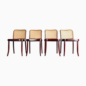 Sedie Mid-Century nr. 811 di Josef Hoffmann per Thonet, anni '60, set di 4