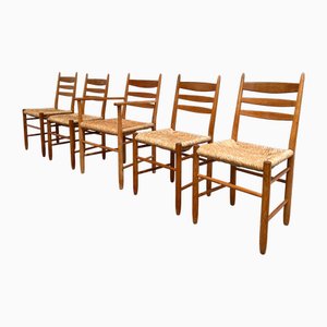 Mid-Century Oak and Rush Chairs, 1950s, Set of 5