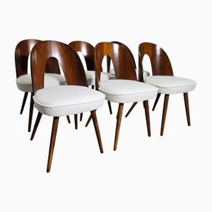 Sillas de comedor de Antonin Suman, años 60. Juego de 6