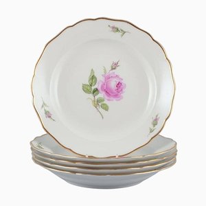 Pink Rose Deep Dinner Plates from Meissen, Germany, 1930s, Set of 5