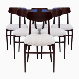 Sedie da pranzo Mid-Century in legno, Italia, anni '50, set di 6