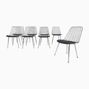 Mid-Century Drahtstühle, Niederlande, 1950er, 8 . Set