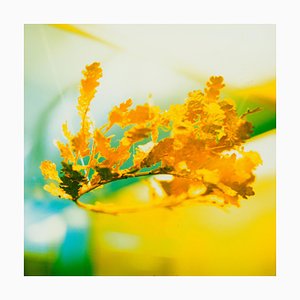 MK Semos, Abstract Image, Film Photograph, 2025