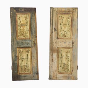 Painted Panel Doors, Set of 2