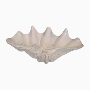 Venera or Tridacna Centerpiece in Glazed Ceramic, Valencia, Spain, 1970s