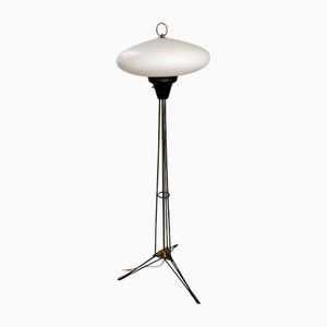 Mid-Century Floor Lamp in Opal Glass, 1950s