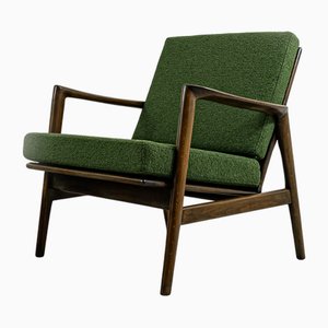 Vintage Chair from Swarzędzkie Fabryki Mebli, 1960s