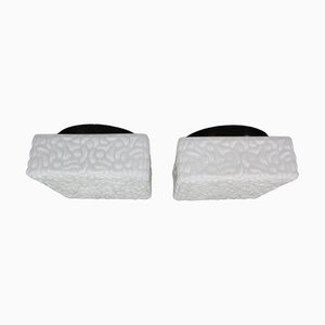 Milky Glass Square Ceiling Lights, 1970s, Set of 2