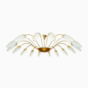 Lámpara de araña de 16 luces de Rupert Nikoll