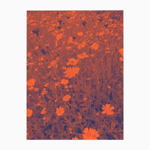 Ian Jones, Fruhlingsweise, Impression numérique