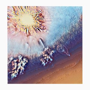 Ian Jones, Blick in den Himmel, Digitaldruck