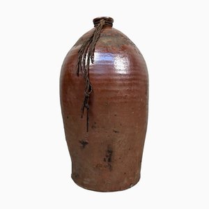 Jarra de loza orgánica, República Checa, siglo XIX