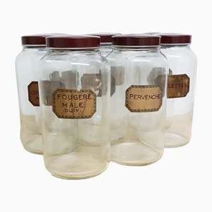 Large French Shop Dispensary Jars, Set of 8