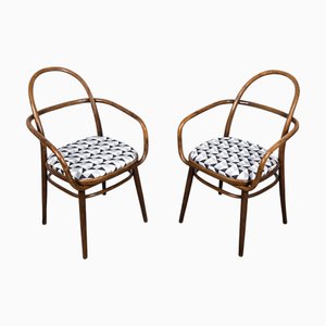 Set of Mid-Century Bentwood Armchairs by Radomír Hofman for TON, 1967