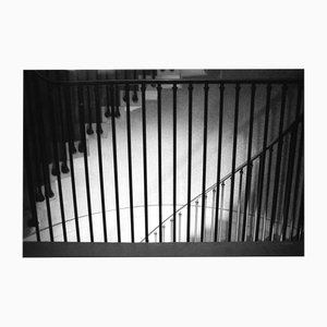 Paul Cooklin, Staircase Railings, 2018, Photograph