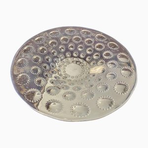 Presentation Plate Aster Number 2 by René Lalique