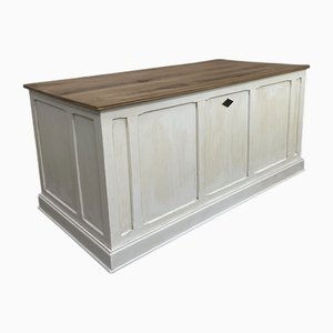Vaste Meuble Professionnel Blanc, 1930s