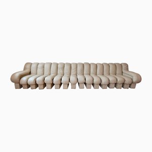 DS-600 Non Stop Snake Modular Sofa in Leather by Eleonore Peduzzi Riva for de Sede, 1980s, Set of 16