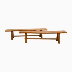 Set of Elm Benches, 1950s