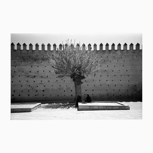 Paul Cooklin, Walls of the Mechouar, Photograph