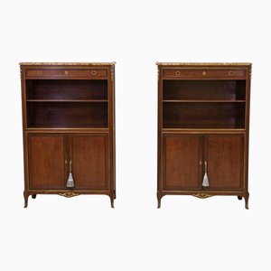 Antique Louis XVI Style Plum Pudding and Gilt Bronze Bookcases by Lescalier De Cristal Paris, 1890, Set of 2