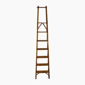 Library Ladder by Franco Albini for Poggi, 1950s
