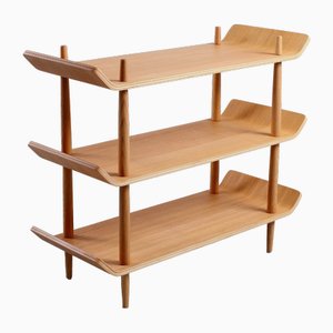Shelving Unit in the style of Willem Lutjens for Gouda Den Boer, 1970s