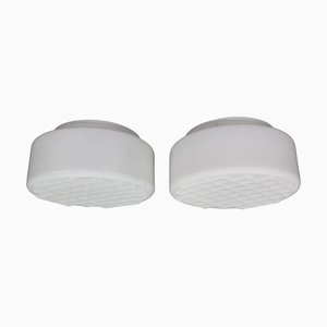 Milky Glass Round Ceiling Lights, Former Czechoslovakia, 1970s, Set of 2