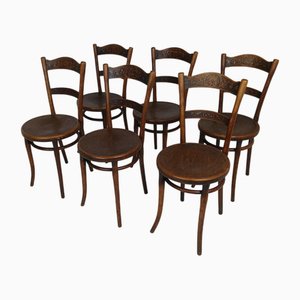 Stühle aus Bugholz von Thonet, 6 . Set