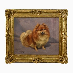 Georges Louis Charles Busson, Pomeranian Dog, Oil on Canvas, 20th Century