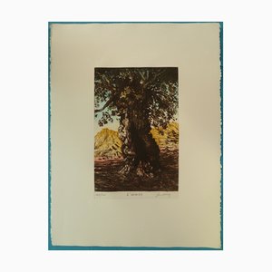 Gerard Diaz, The Olive Tree, Engraving