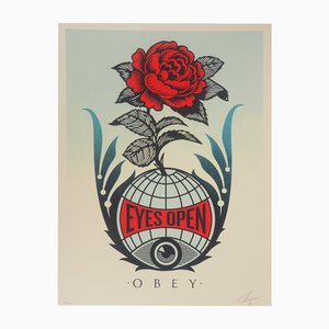Shepard Fairey, ojos abiertos, serigrafía