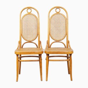 Set of Vintage Bentwood Chairs