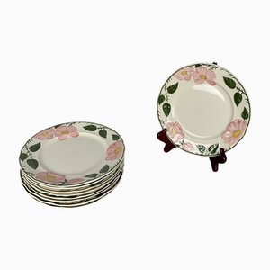 Piatti da dessert vintage di Villeroy & Boch, 1970, set di 9