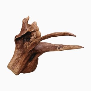 Sculpture del Mare by Pietro Meccani, 2024