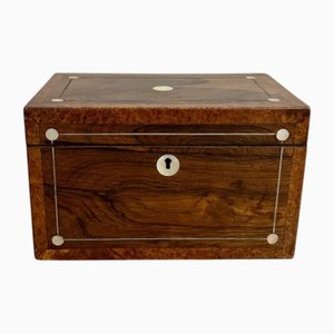 Antique Regency Rosewood Tea Caddy, 1820, Set of 2