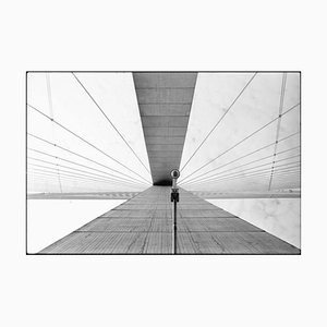 Paul Cooklin, Das Auge, 2016, Fotografie