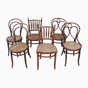 Sedie da bistrò in legno curvato nello stile di Thonet, 1900, set di 6