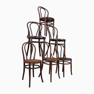 Bistrostühle aus Bugholz N°18 von Fischel, 1900, 6er Set