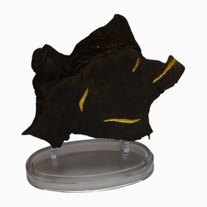 Rebanada de madera de mangle de Morta y Kintsugi de Myriam Greff