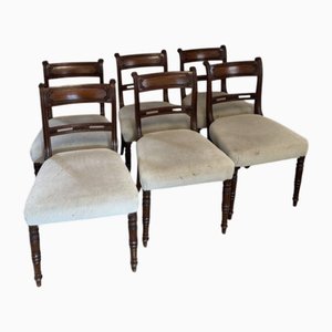 Sillas de comedor George III de caoba, década de 1800. Juego de 6