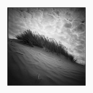 Paul Cooklin, Sand Dune I, Photograph