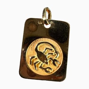 Pendentif Médaillon Scorpion Starsign Zodiac en Or Jaune 18k, France, 1980s