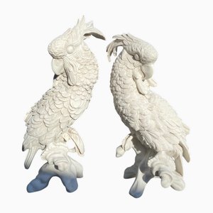 Meissen Papageien, 20. Jh., 2er Set
