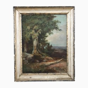 Paisaje de bosque, pintura al óleo sobre lienzo, finales del siglo XIX, enmarcado