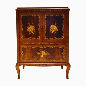 19th Century TV Cabinet