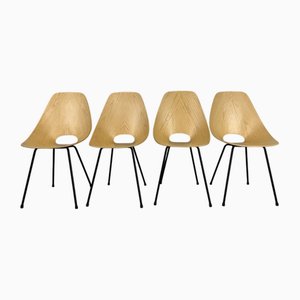Medea Chairs by Vittorio Nobili for Fratelli Tagliabue, 1950s, Set of 4