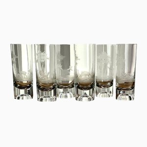Bohemian Etched Crystal Highball Glasses, Set of 6