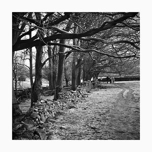 Paul Cooklin, Le Peak District, Photographie